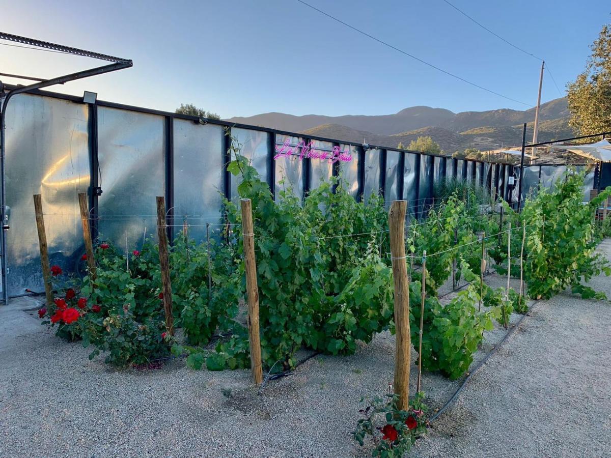 La Finca De Vane Valle de Guadalupe Exterior photo